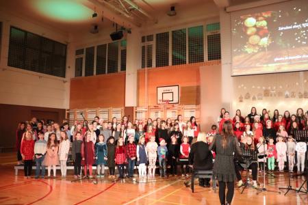 Božično-novoletni koncert Osnovne šole Toma Brejca  (48)